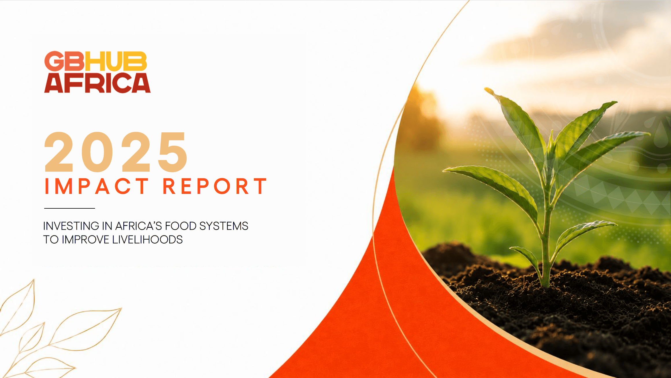 GBHub Africa 2025 Impact Report