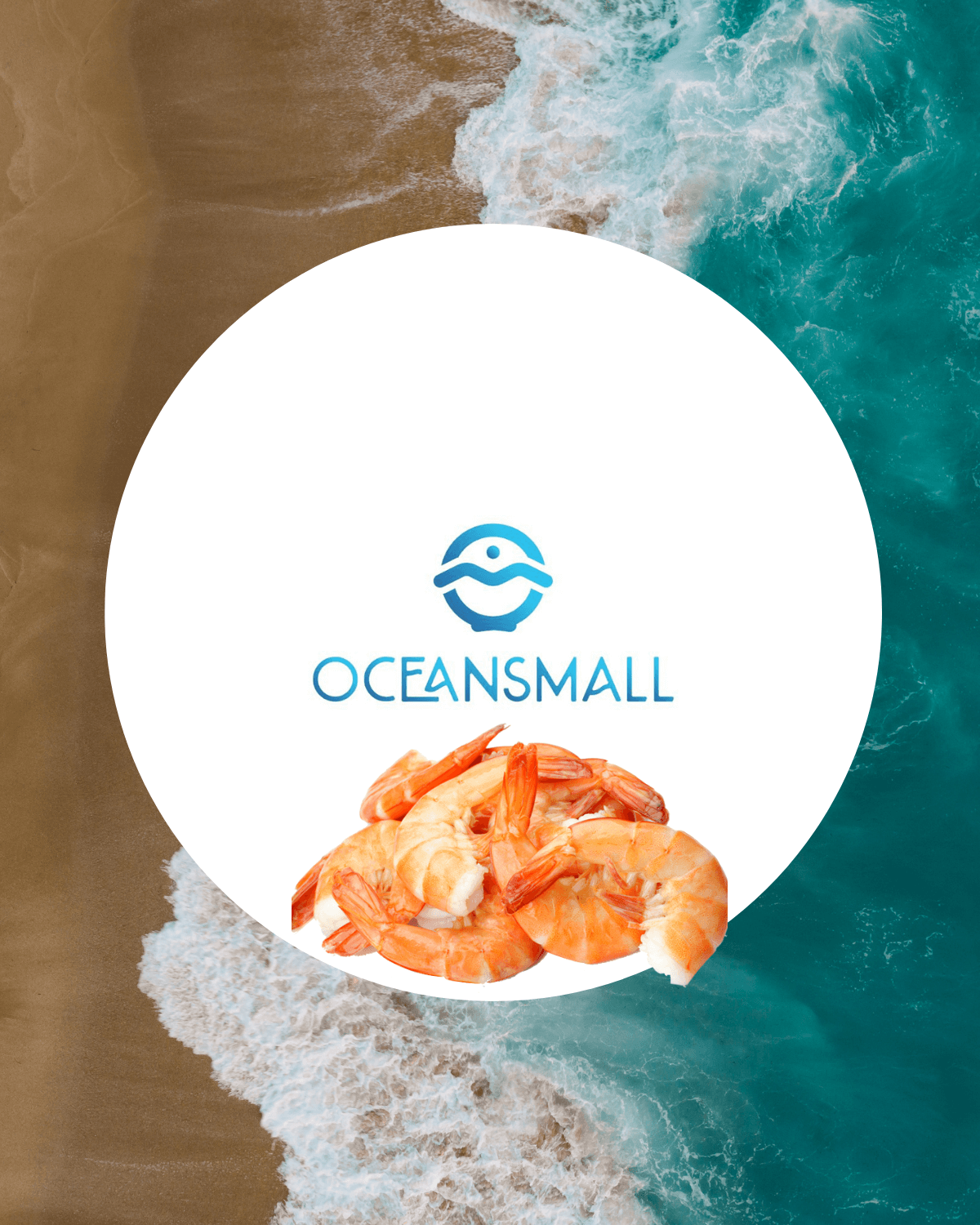 OceansMall $150,000 Invested