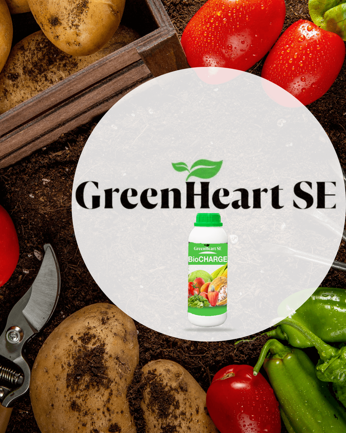 GreenHeart SE $50,000 Invested