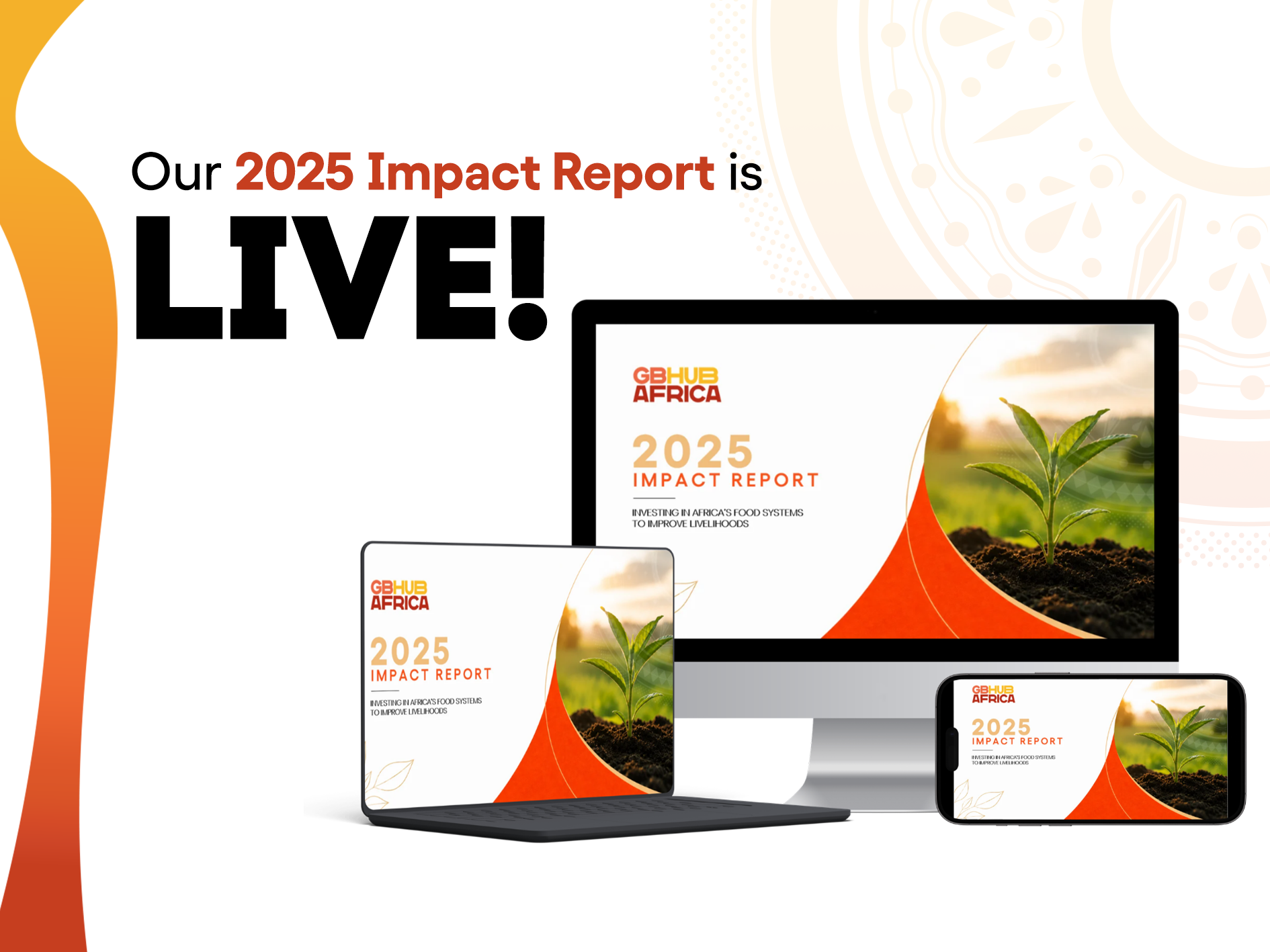 GBHub Africa 2025 Impact Report