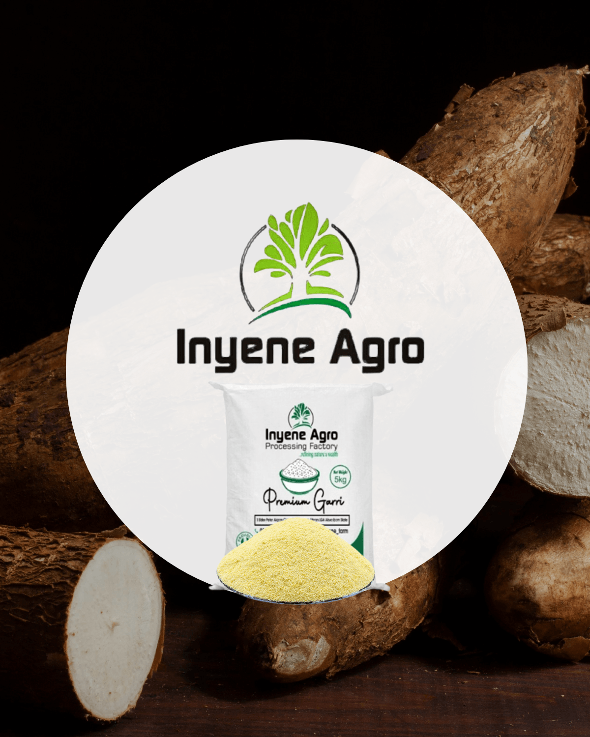 Inyene Agro $100,000 Invested